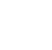 Icon (1)